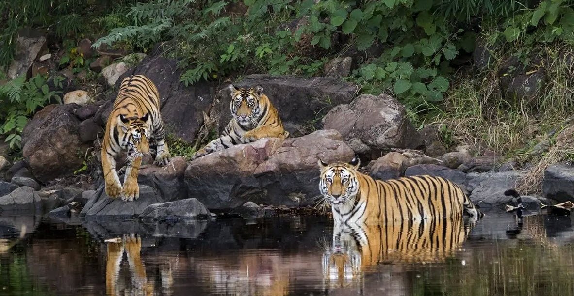 List of Biosphere Reserves of India